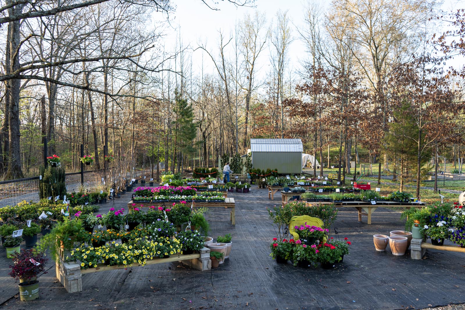 CobbCreekNursery_2026_TEC2600